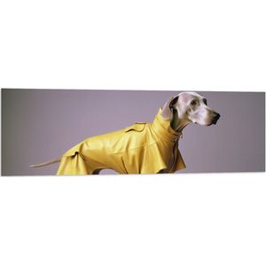 Vlag - Zijaanzicht van Duitse Dog Hond in Gele Regenjas - 120x40 cm Foto op Polyester Vlag