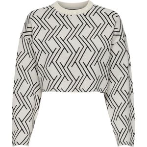 ONLY meisjes kids trui ANNY Birch Black Cropped Fit