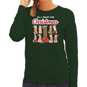 Bellatio Decorations foute kersttrui/sweater voor dames - All I want for Christmas - piemels - groen XS