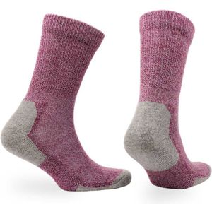 Norfolk - Merino wol en Bamboe mix Wandelsokken - Outdoor Zacht en Warme Sokken Dames met Demping - Merino wollen sokken - Strech+ Extra Wijde Boord - Fuchsia - Maat 35-38 - Alfie