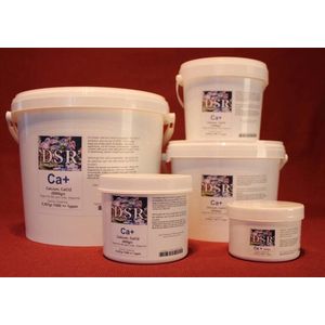 DSR Ca+ – Calcium reef supplement 1000 gram