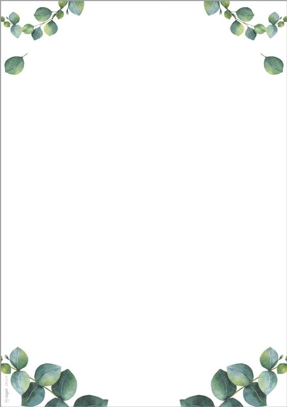 Motiefpapier - Eucalyptus - A5 - 90 g/m² - 100 Vellen