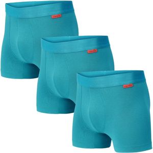 Undiemeister Boxershort Heren - Aurora Sky (Cyaan) - 3-Pack - Mellowood Tencel - Ademend, Anti-Bacterieel & Naadloos Ondergoed - Premium Onderbroeken Heren - Maat L