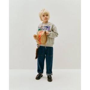 Cesar grijze sweater 6y