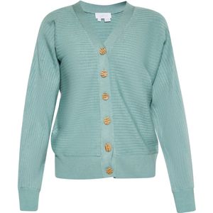 usha - WHITE LABEL - Gebreid Vest - Aqua