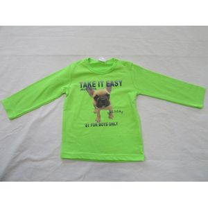 dirkje , jongens , t-shirt lange mouw , fel groen , hond ,  80 - 12 maand