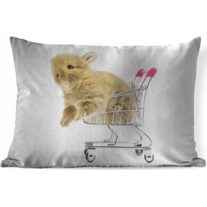 Sierkussens - Kussen - Baby konijn in een winkelwagen - 60x40 cm - Kussen van katoen