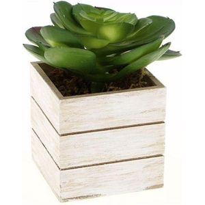 Kunstplant in houten pot H. 12cm - Overig - wit - groen - SILUMEN