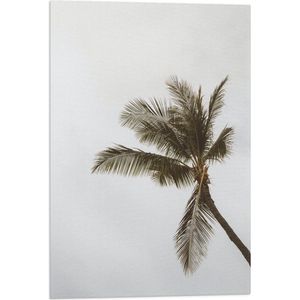 Vlag - Palmboom in de Wind - 40x60 cm Foto op Polyester Vlag