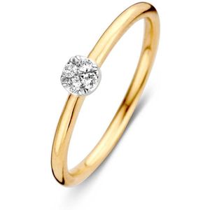 Ring bicolor briljant 0.06 crt.
