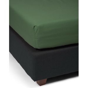 ESSENZA Premium Percale Hoeslaken Mosgroen - 90x200 cm