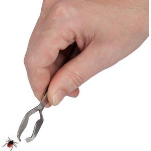 Go Go Gadget - ""RVS Tekentang - Verwijderaar - Pincet - 13 cm