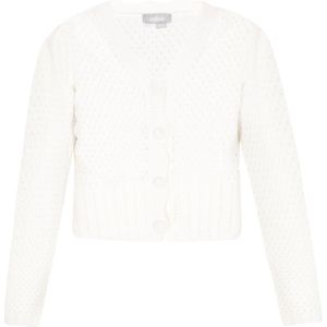 Usha Gebreid vest 'Fashion Look'  offwhite