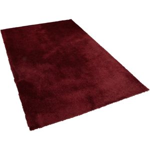 EVREN - Shaggy vloerkleed - Rood - 200 x 300 cm - Polyester