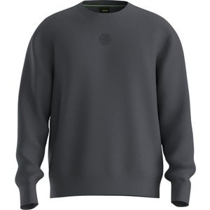 Boss Heren Trui Grijs 50543859/027 CN Future