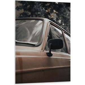Forex - Bruine Autospiegel  - 80x120cm Foto op Forex
