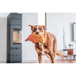 Animal Boulevard Df-ec-br-ns - Speelgoed Voor Dieren - Hond - Rd Durables Mierenegel Oranje- 23,5cm