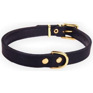 Dog's Companion Leren Halsband - Lengte: 37 cm Verstelbaar van 29-35 cm x 12 mm - Zwart - Exclusive Gold