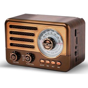 SNQ Transistorradio - Am Fm Sw Kleine Draagbare Radio - Ondersteuning Tf-Kaart - Hulp - Mp3-Speler - Usb - Goud