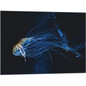 WallClassics - Vlag - Geel met Blauwe Kwal onder Water - 80x60 cm Foto op Polyester Vlag