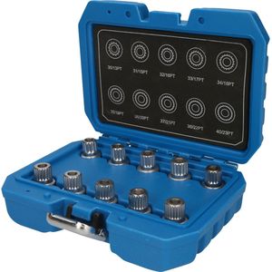 BRILLIANT TOOLS - Velgbeveiliging Set - 10 Stuks - Voor BMW - BT691290