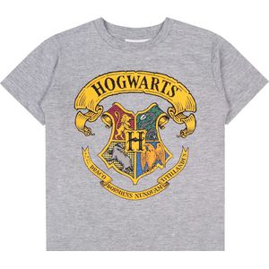 Grijs T-shirt met Harry Potter thema