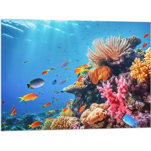 Vlag - Felkleurige Koraal Omringd door Tropische Vissen op Zeebodem - 80x60 cm Foto op Polyester Vlag