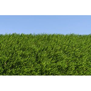 Kunstgras 2 x 21 meter - 40mm ✅ Nederlandse Productie - Uitgeroepen zachtste Grastapijt ✅ Waterdoorlatend | Tuin | Kind | Dier