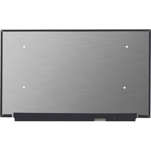 LCD Scherm geschikt voor MSI GE66 Raider 10SFS-012BE (240Hz)