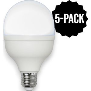 5-Pack | Staaflamp - E27 - 20W - Daglicht - 6000K - Opaal