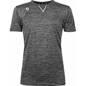 Heren Trainingsshirt Droste Grijs / Zwart