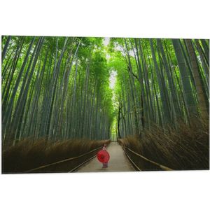 WallClassics - Vlag - Bamboe Bomen met Japanse Paraplu - 75x50 cm Foto op Polyester Vlag