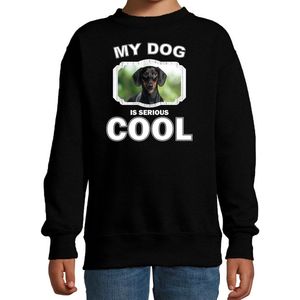 Coole teckel honden trui / sweater my dog is serious cool zwart - kinderen - teckel liefhebber cadeau sweaters - kinderkleding / kleding 152/164