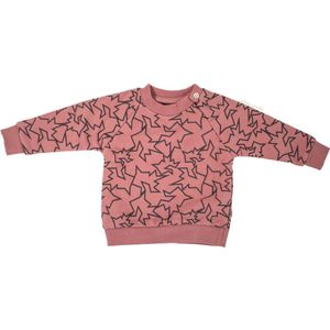 MXM Baby trui- Roze- Sweater- Print- Bruin- Maat 80