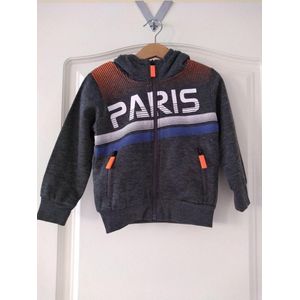 Jongens vest Paris grijs 110/116