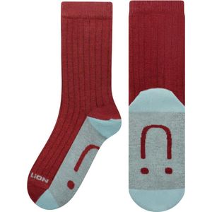 Jimmy Lion kids sokken back to school rood - 21-25
