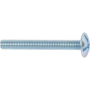 Laagbolkopschroef met moer. M6 x 30mm. lang. Gegalvaniseerd. 8 stuks Bolkopbout