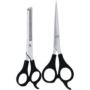 Guardian Beauty Scharenset - 6 en 6,5 Inch - Roestvrij Staal - Met Gratis Etui - Kappersgereedschap