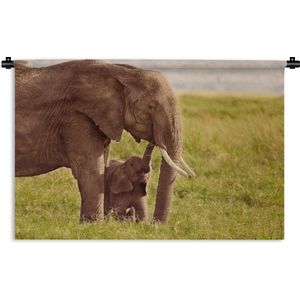 Wandkleed Baby olifant en moeder - Baby olifant bij zijn moeder in Kenia Wandkleed katoen 150x100 cm - Wandtapijt met foto