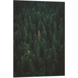WallClassics - Vlag - Toppen van Groene Bergen - 60x90 cm Foto op Polyester Vlag