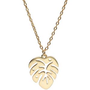 Verguld Palm Ketting - Goudkkleurig Ketting Palm - Goudkleurig Zilveren ketting - Verguld Echte Zilver 925 - Amona Jewelry