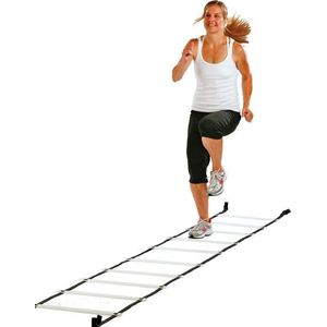 Stroops Plastic flat rung ladder (1 x 4,5 m)