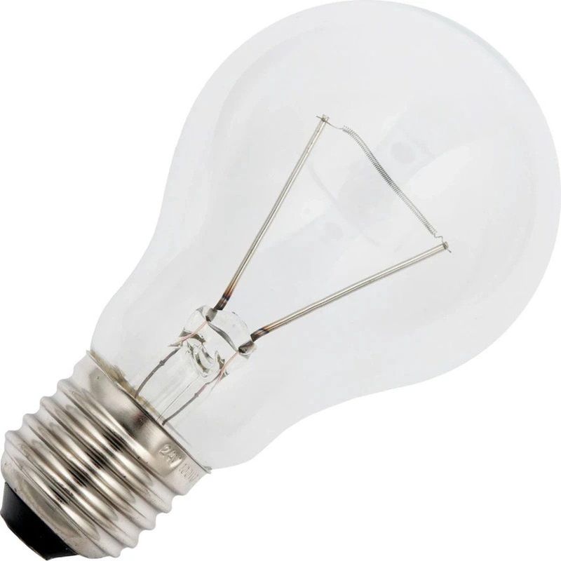 Schiefer - E27 GLS - Peervormig - Helder - 100W - 1400 Lumen