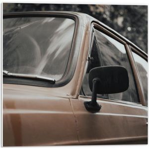 Forex - Bruine Autospiegel  - 50x50cm Foto op Forex