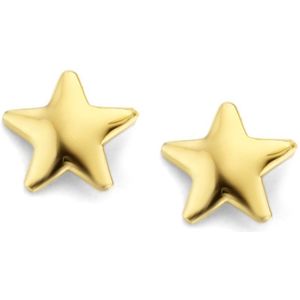 New Bling 9NBG-0162 Gouden Oorknop - Ster - 14 krt - mm - Goudkleurig