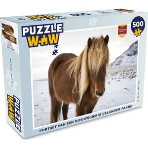 Puzzel Portret van een nieuwsgierig IJslander paard - Legpuzzel - Puzzel 500 stukjes