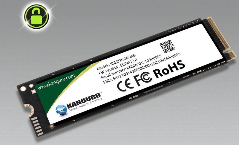 Kanguru - Defender SED30 - SSD - 1 TB - M.2 NVMe - Zwart