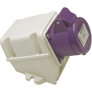 Walther Werke - WAL 11150 NORVO - Wandcontactdoos - 3x32A - 24V - IP44