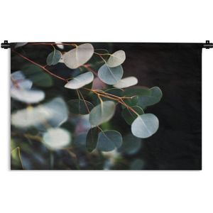Wandkleed Eucalyptus - Eucalyptus bladeren aan takken Wandkleed katoen 150x100 cm - Wandtapijt met foto