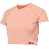 Hummel Damen T-Shirt Hmlci Seamless Cropped T-Shirt Canyon Sunset Melange-S